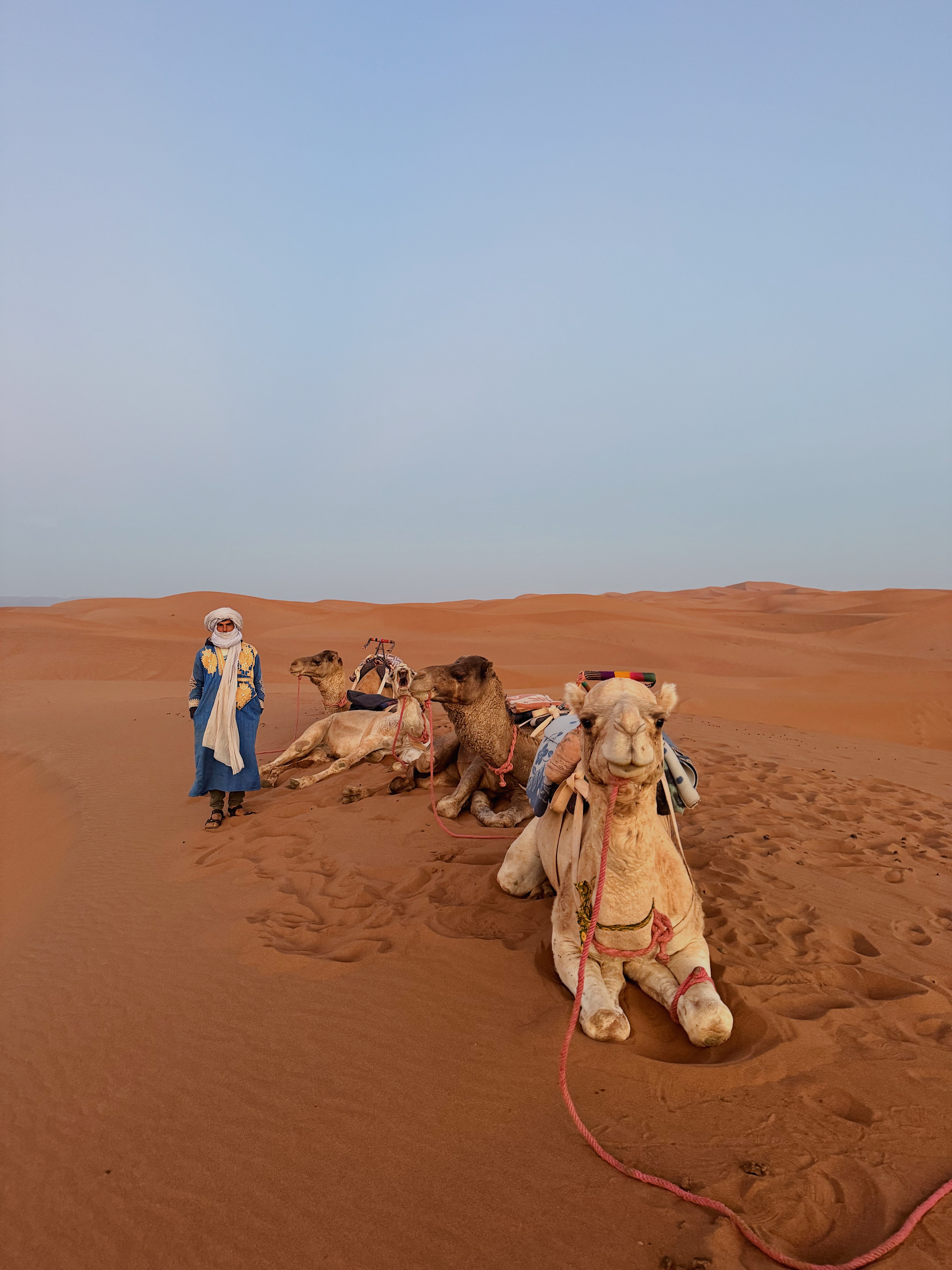 Camel Ride to the Highest Dune